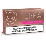 tera1 پافکده