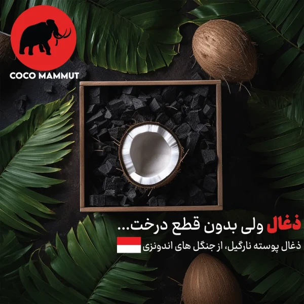 ذغال فشرده کوکو ماموت مدل coconut shell وزن 1 کیلوگرم/250 گرم - Image 6