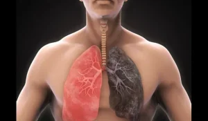 جویس اورجینال